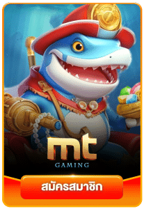MT GAMING